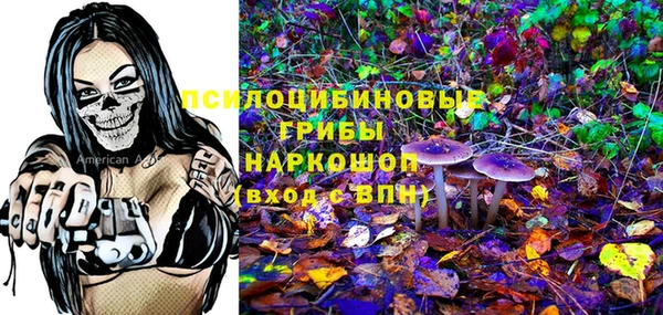 сатива Новодвинск