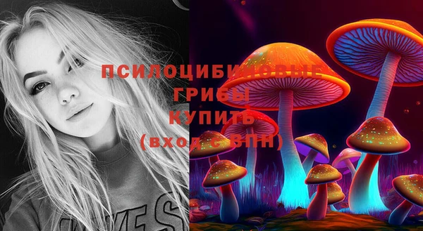 герыч Абинск